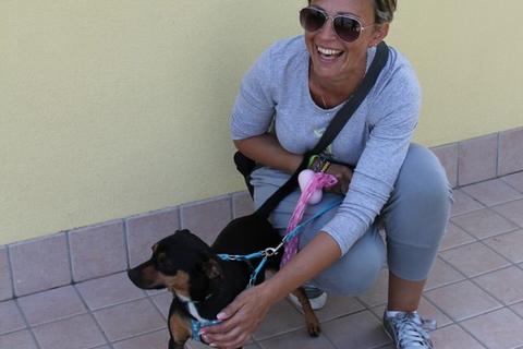 Willy e la sua nuova mamma